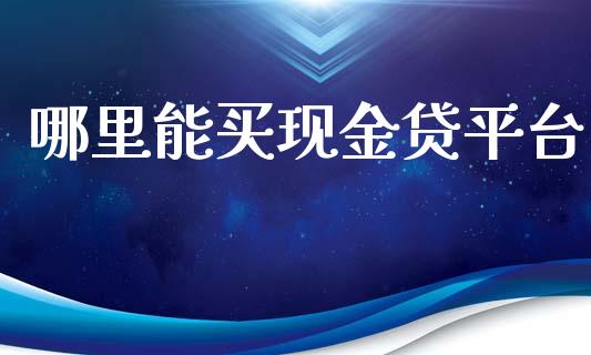 哪里能买现金贷平台_https://cj006.lansai.wang_外汇交易_第1张