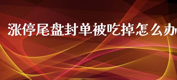 涨停尾盘封单被吃掉怎么办_https://cj006.lansai.wang_全球市场_第1张