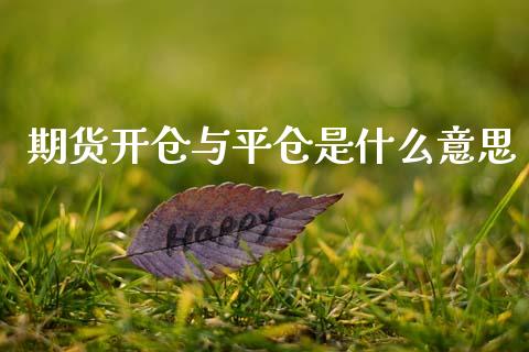 期货开仓与平仓是什么意思_https://cj006.lansai.wang_债券资讯_第1张