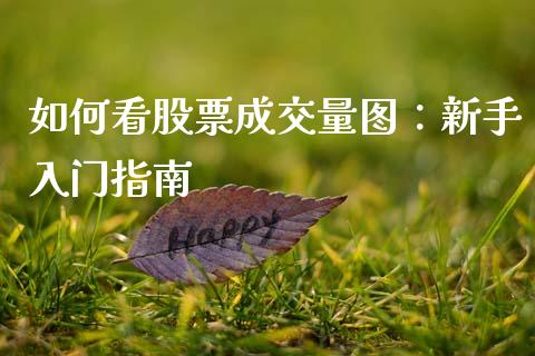如何看股票成交量图：新手入门指南_https://cj006.lansai.wang_全球市场_第1张