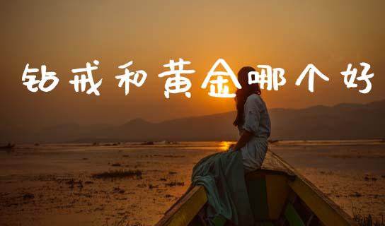 钻戒和黄金哪个好_https://cj006.lansai.wang_外汇交易_第1张