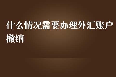什么情况需要办理外汇账户撤销_https://cj006.lansai.wang_金融监管_第1张