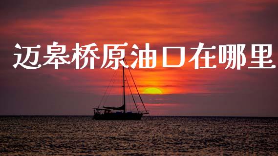 迈皋桥原油口在哪里_https://cj006.lansai.wang_期货开户_第1张