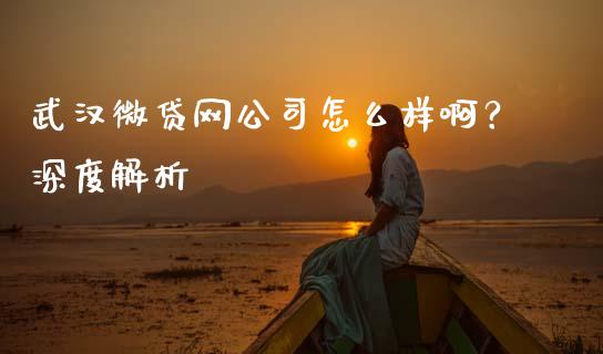 武汉微贷网公司怎么样啊？深度解析_https://cj006.lansai.wang_财经新闻_第1张