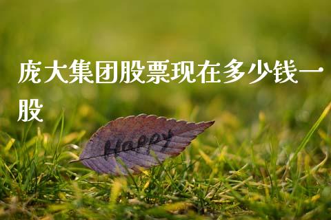 庞大集团股票现在多少钱一股_https://cj006.lansai.wang_金融监管_第1张