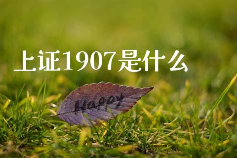 上证1907是什么_https://cj006.lansai.wang_债券资讯_第1张