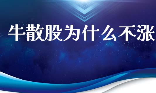牛散股为什么不涨_https://cj006.lansai.wang_全球市场_第1张