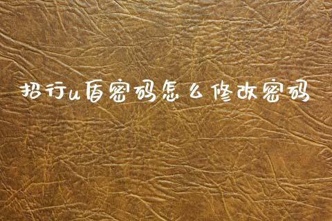 招行u盾密码怎么修改密码_https://cj006.lansai.wang_债券资讯_第1张