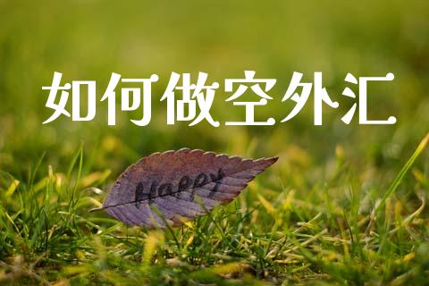 如何做空外汇_https://cj006.lansai.wang_财经新闻_第1张