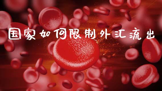 国家如何限制外汇流出_https://cj006.lansai.wang_期货开户_第1张