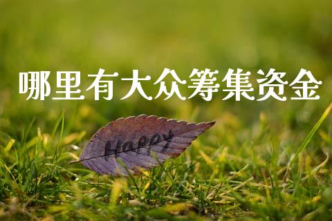 哪里有大众筹集资金_https://cj006.lansai.wang_期货开户_第1张