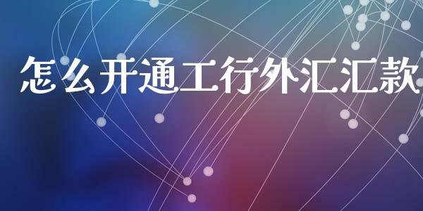 怎么开通工行外汇汇款_https://cj006.lansai.wang_金融监管_第1张
