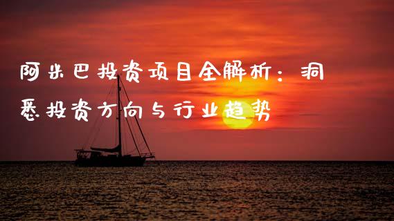阿米巴投资项目全解析：洞悉投资方向与行业趋势_https://cj006.lansai.wang_全球市场_第1张