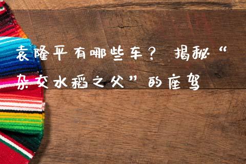 袁隆平有哪些车？ 揭秘“杂交水稻之父”的座驾_https://cj006.lansai.wang_全球市场_第1张