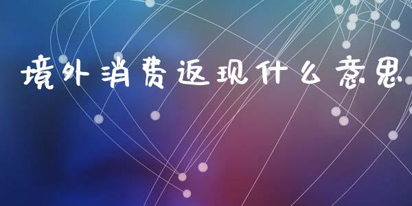 境外消费返现什么意思_https://cj006.lansai.wang_金融监管_第1张