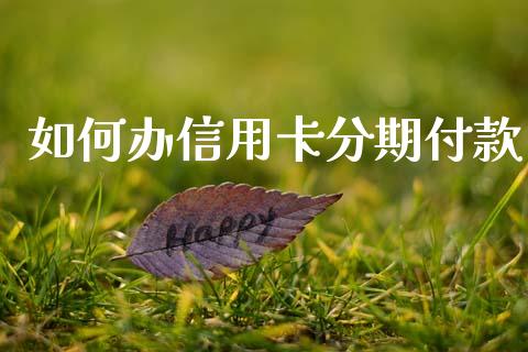 如何办信用卡分期付款_https://cj006.lansai.wang_全球市场_第1张