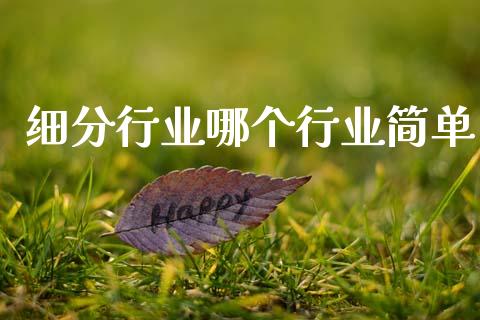 细分行业哪个行业简单_https://cj006.lansai.wang_金融监管_第1张