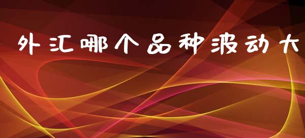 外汇哪个品种波动大_https://cj006.lansai.wang_金融监管_第1张