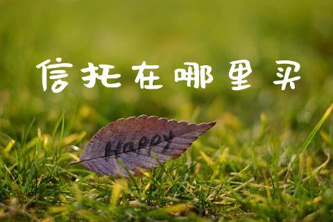 信托在哪里买_https://cj006.lansai.wang_期货开户_第1张