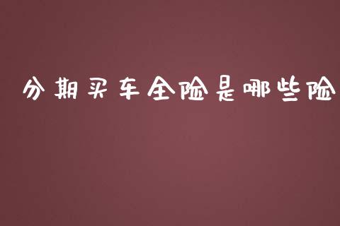 分期买车全险是哪些险_https://cj006.lansai.wang_财经新闻_第1张