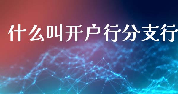 什么叫开户行分支行_https://cj006.lansai.wang_财经新闻_第1张