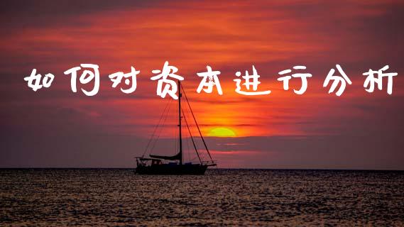 如何对资本进行分析_https://cj006.lansai.wang_金融监管_第1张