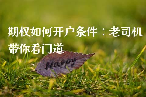 期权如何开户条件：老司机带你看门道_https://cj006.lansai.wang_全球市场_第1张