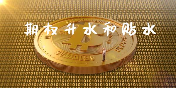 期权升水和贴水_https://cj006.lansai.wang_外汇交易_第1张