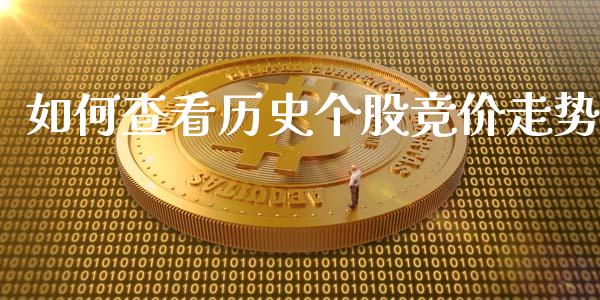 如何查看历史个股竞价走势_https://cj006.lansai.wang_外汇交易_第1张
