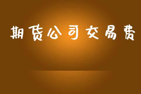 期货公司交易费_https://cj006.lansai.wang_外汇交易_第1张