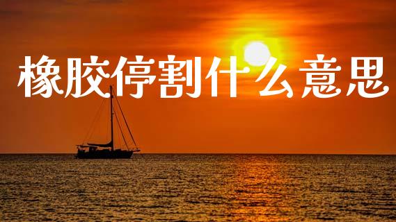 橡胶停割什么意思_https://cj006.lansai.wang_债券资讯_第1张