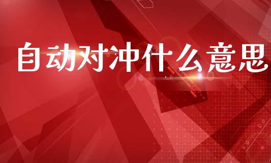 自动对冲什么意思_https://cj006.lansai.wang_全球市场_第1张