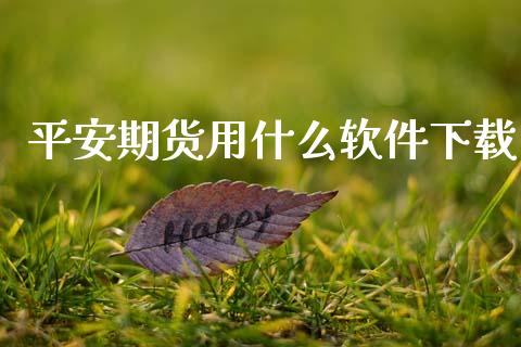 平安期货用什么软件下载_https://cj006.lansai.wang_全球市场_第1张