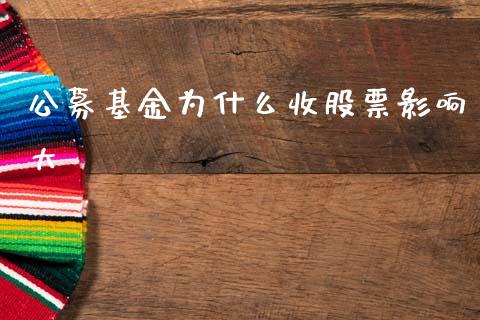 公募基金为什么收股票影响大_https://cj006.lansai.wang_金融监管_第1张