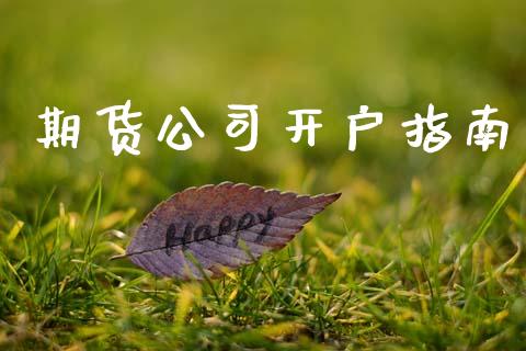 期货公司开户指南_https://cj006.lansai.wang_外汇交易_第1张
