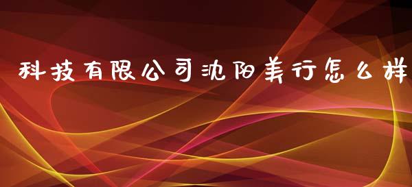 科技有限公司沈阳美行怎么样_https://cj006.lansai.wang_财经新闻_第1张