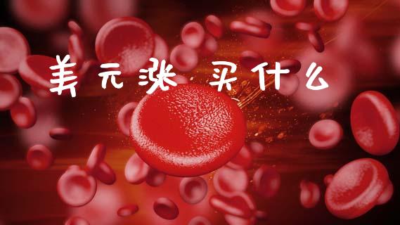 美元涨 买什么_https://cj006.lansai.wang_财经新闻_第1张