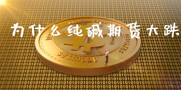 为什么纯碱期货大跌_https://cj006.lansai.wang_外汇交易_第1张