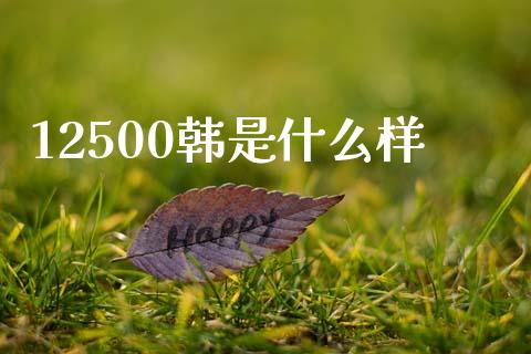 12500韩是什么样_https://cj006.lansai.wang_全球市场_第1张
