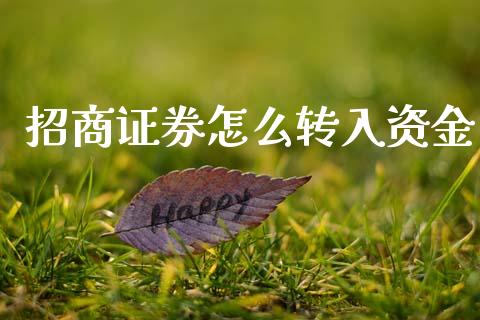 招商证券怎么转入资金_https://cj006.lansai.wang_财经新闻_第1张