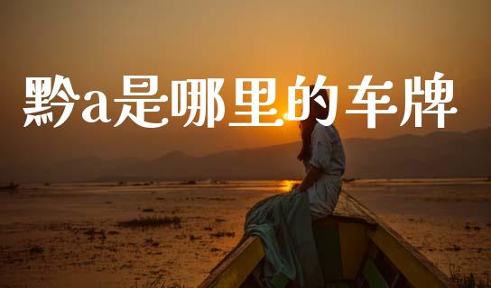 黔a是哪里的车牌_https://cj006.lansai.wang_全球市场_第1张