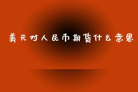 美元对人民币期货什么意思_https://cj006.lansai.wang_期货开户_第1张
