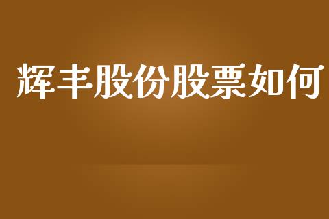 辉丰股份股票如何_https://cj006.lansai.wang_金融监管_第1张