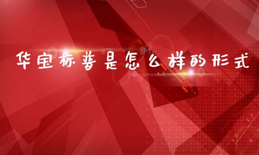 华宝标普是怎么样的形式_https://cj006.lansai.wang_金融监管_第1张