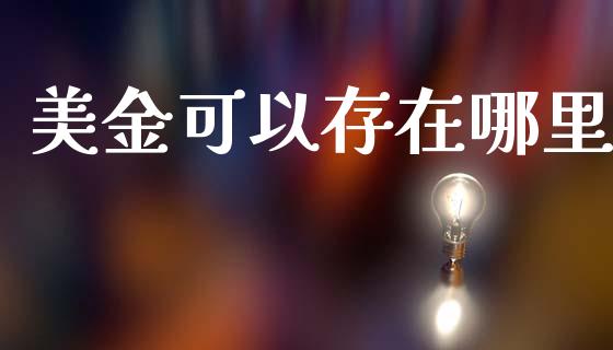 美金可以存在哪里_https://cj006.lansai.wang_期货开户_第1张