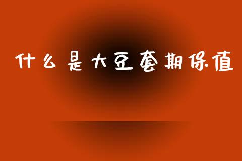 什么是大豆套期保值_https://cj006.lansai.wang_财经新闻_第1张