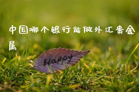 中国哪个银行能做外汇贵金属_https://cj006.lansai.wang_金融监管_第1张