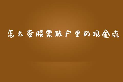 怎么查股票账户里的现金流_https://cj006.lansai.wang_金融监管_第1张