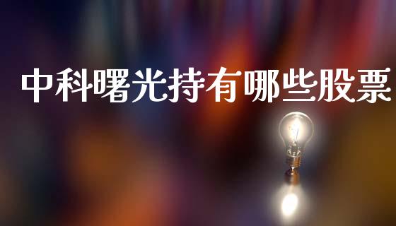 中科曙光持有哪些股票_https://cj006.lansai.wang_金融监管_第1张