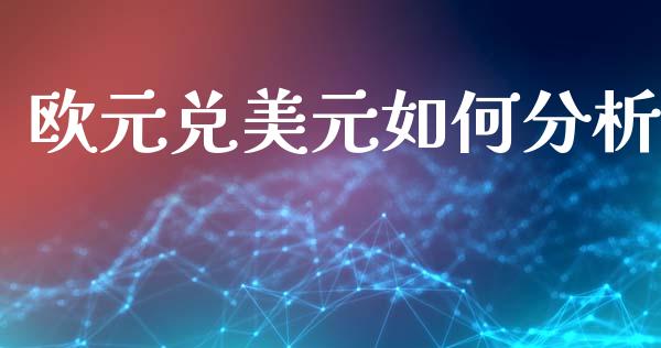 欧元兑美元如何分析_https://cj006.lansai.wang_外汇交易_第1张